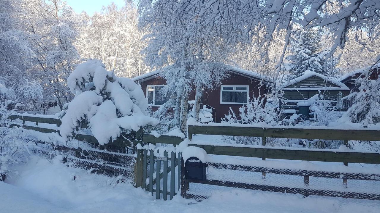 Torcroft Lodges Drumnadrochit Exterior photo