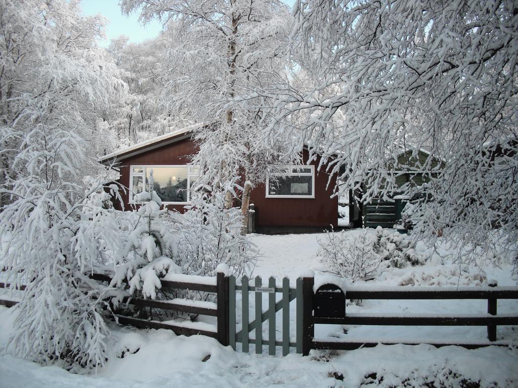 Torcroft Lodges Drumnadrochit Room photo